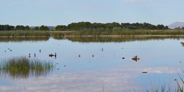 albufera-sillot-600x300